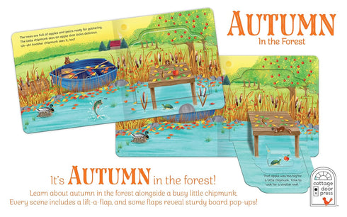 POP-UP SURPRISE AUTUMN IN THE FOREST - FINCH. RUSTY; LONGHI. KATYA